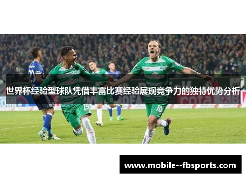 世界杯经验型球队凭借丰富比赛经验展现竞争力的独特优势分析